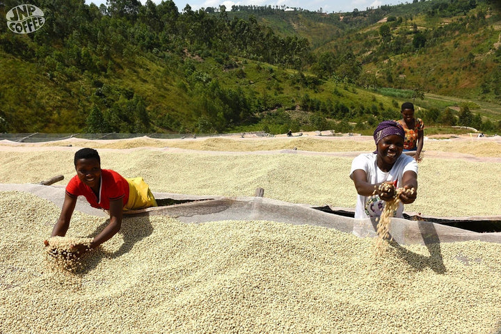 Meet the Farms: Turihamwe Turashobora - The Birthplace of Motherland Roast - Red Bay Coffee
