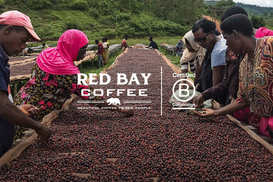 Red Bay Coffee Joins The B Corporation Movement - Red Bay Coffee