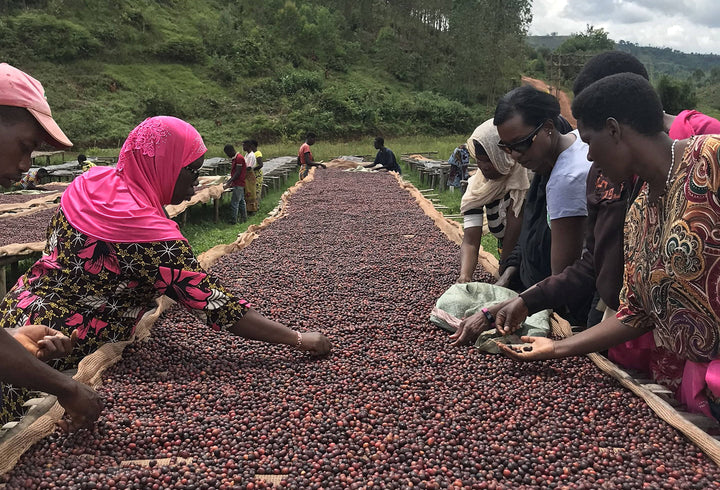 Red Bay Coffee: A Black-Owned Coffee Retail Shop/Roaster Sees A